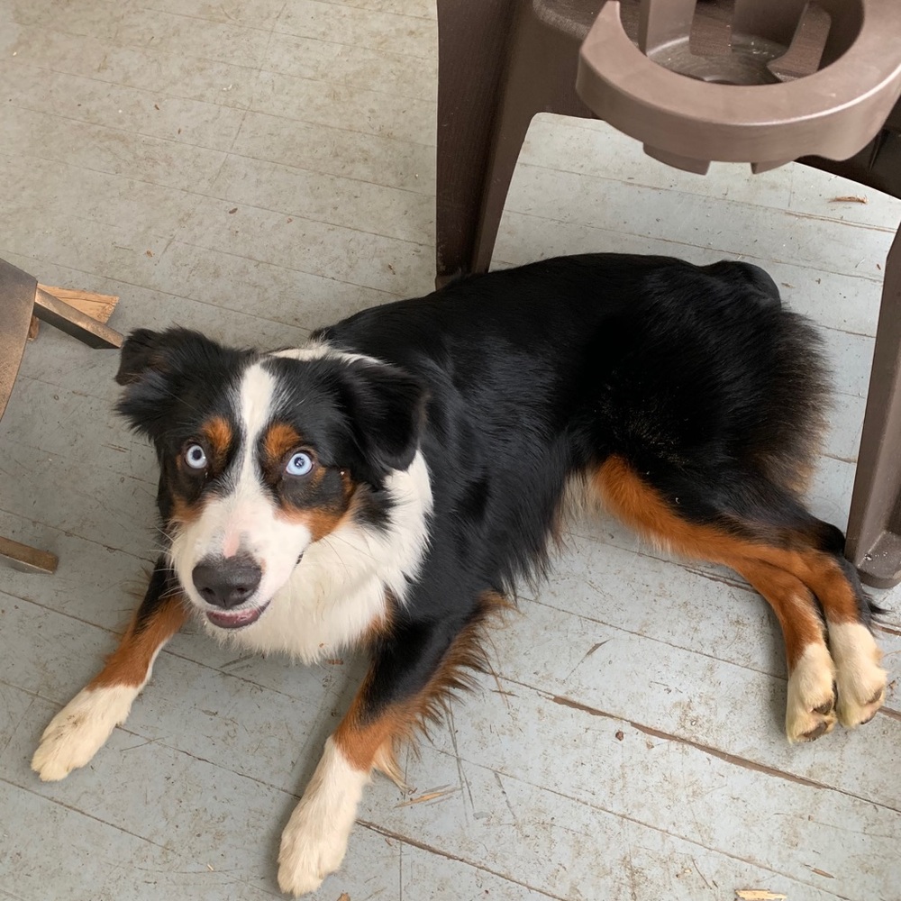 Meet your Posher, Millard